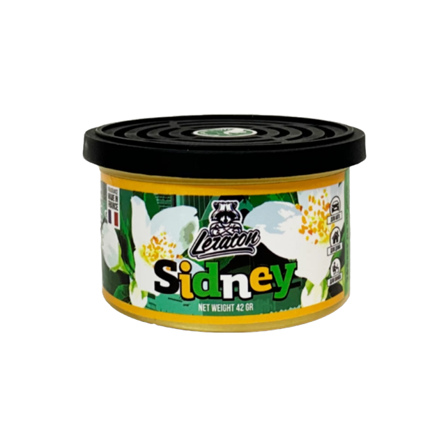 Sidney Jasmine / ������ ������������ ��� ������ � ����� LERATON