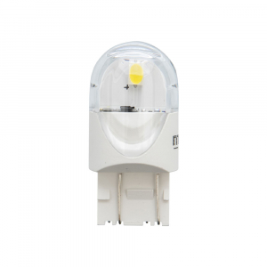 ������������ ��������� MTF Light ����� Night Assistant 12�, W21/5W, �����